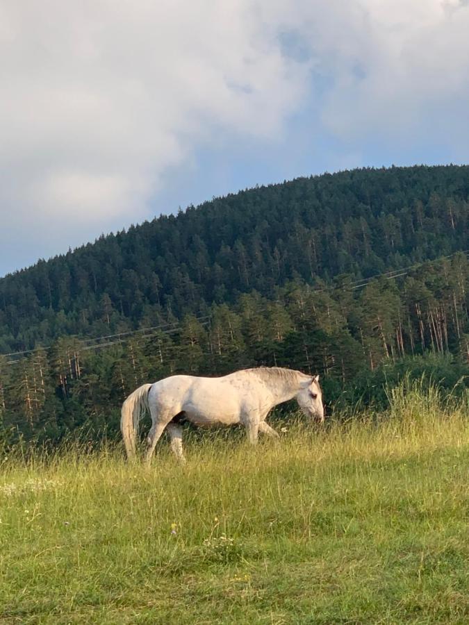 Ng Apartmani Tornik Zlatibor Eksteriør billede