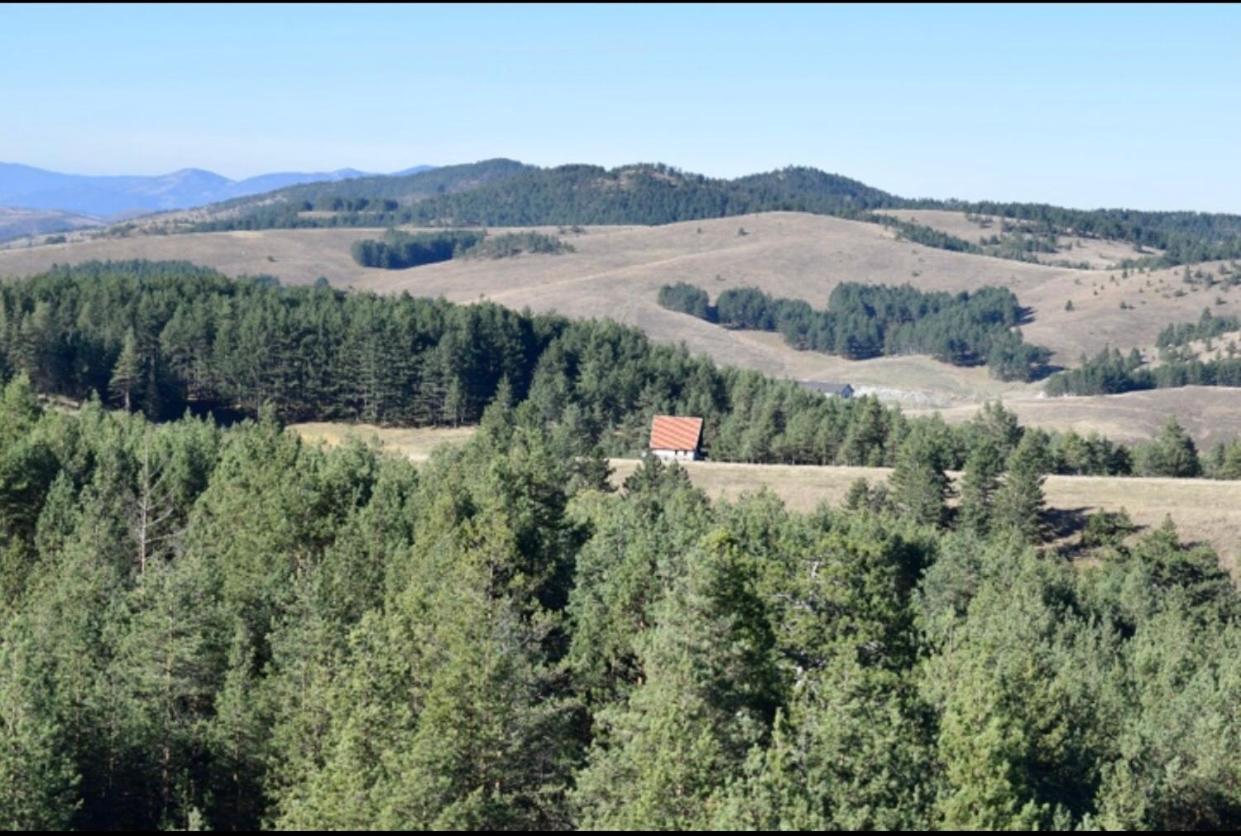 Ng Apartmani Tornik Zlatibor Eksteriør billede